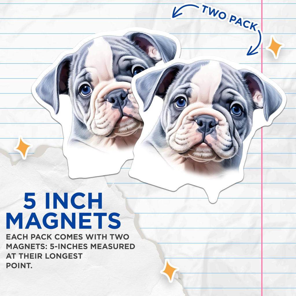 (2 Pack) Cute Bulldog Puppy Magnets - Blue Eyes Dog Decor - Pet Lover Fridge Locker - 5 Inches On Longest Side - Thick Durable Magnet - Made in USA - MAG26072