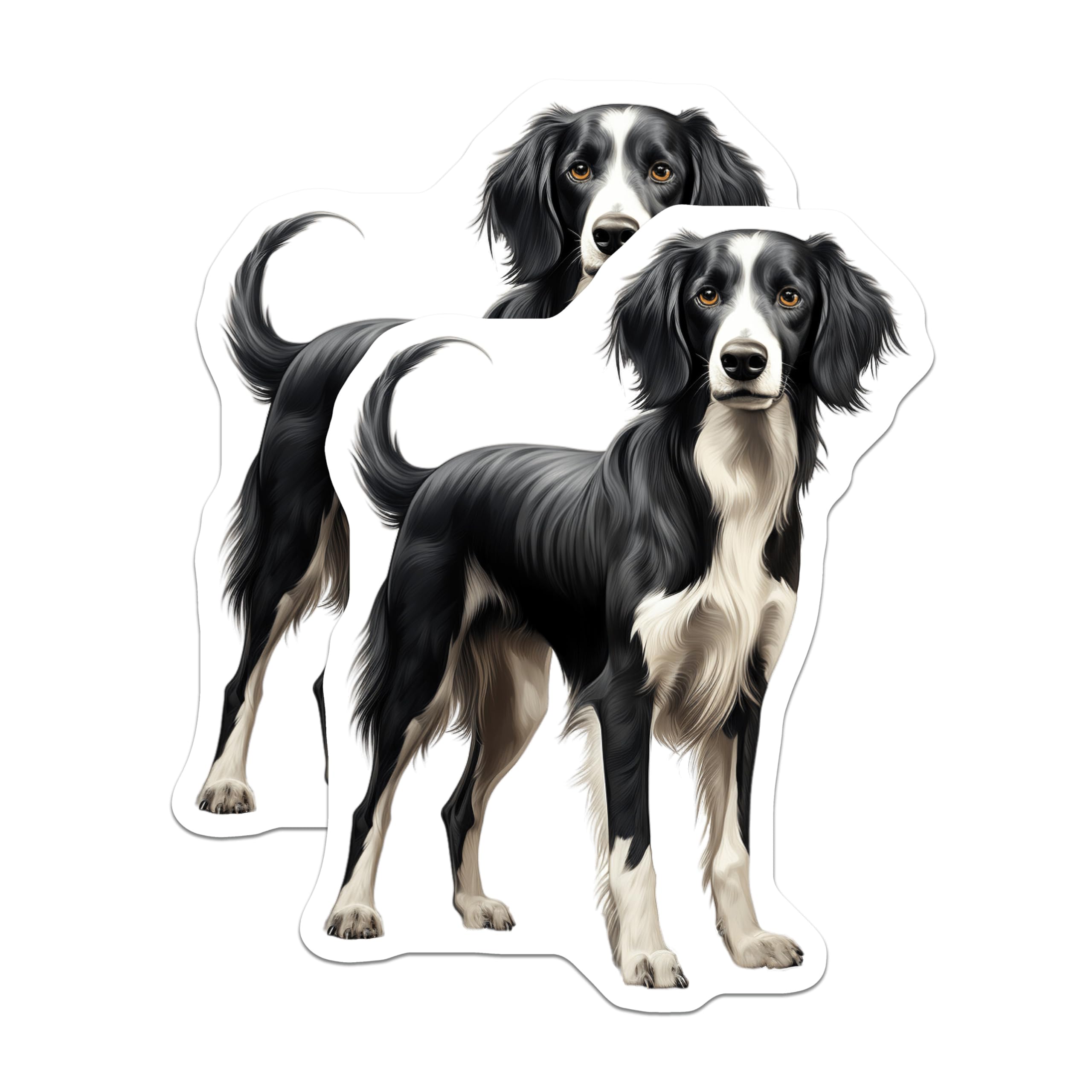(2 Pack) Border Collie Dog Magnets - Realistic Black White Pet Art Magnet - Animal Lover Fridge Decor for Dog Parents - 5 Inches On Longest Side - Thick Durable Magnet - Made in USA - MAG30995