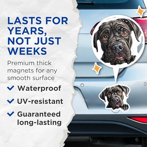 (2 Pack) Cute Pet Decor Magnet - Animal Art - 5" On Longest Side - Sticks to Smooth Flat Surfaces - Made in USA - MAG9900