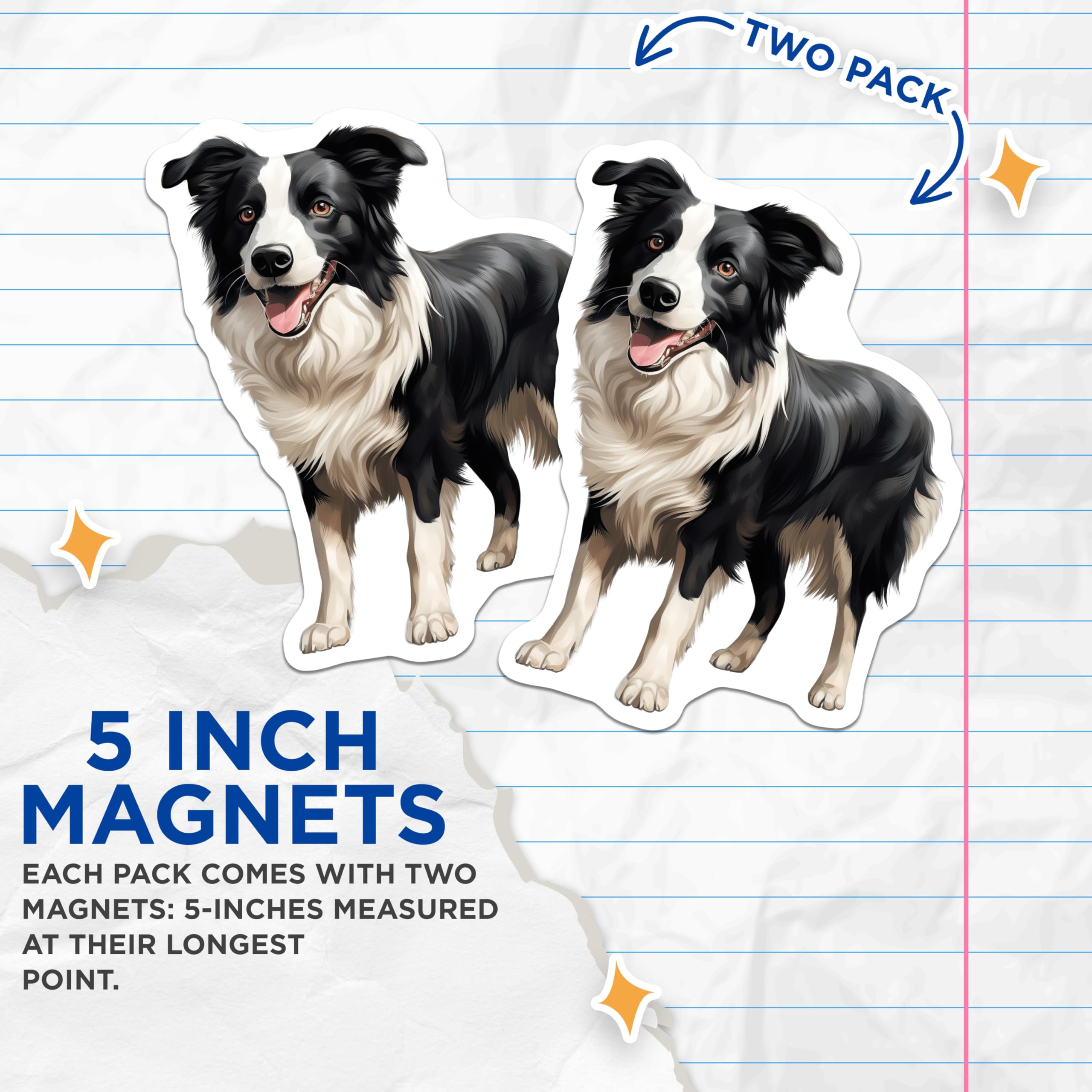 (2 Pack) Border Collie Magnets - Dog Lover Fridge Decor - Pet Owner Accessory - Cute Canine Art for Dog Mom - 5 Inches On Longest Side - Thick Durable Magnet - Made in USA - MAG30778