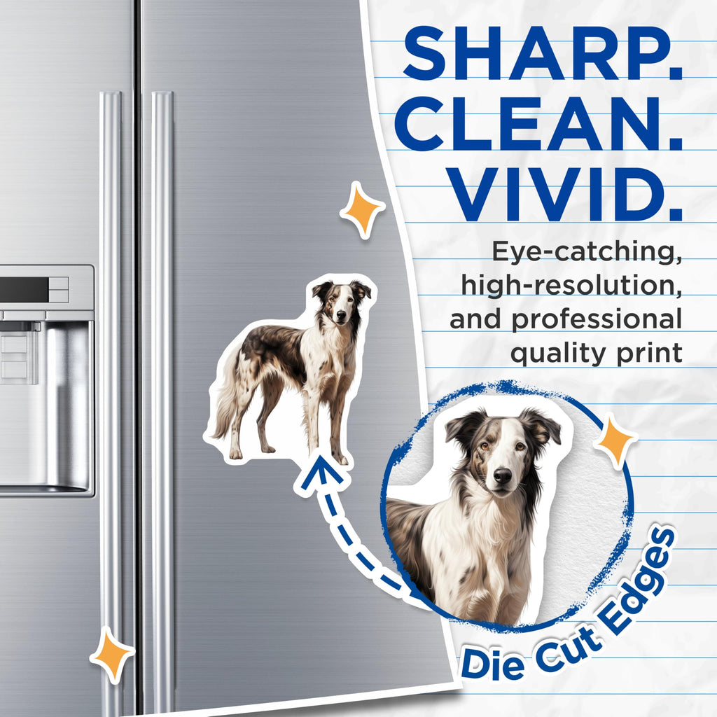 (2 Pack) Border Collie Dog Magnets - Merle Dog Portrait - Animal Lover Fridge Decor - Pet Owners Kitchen Magnets - 5 Inches On Longest Side - Thick Durable Magnet - Made in USA - MAG27858