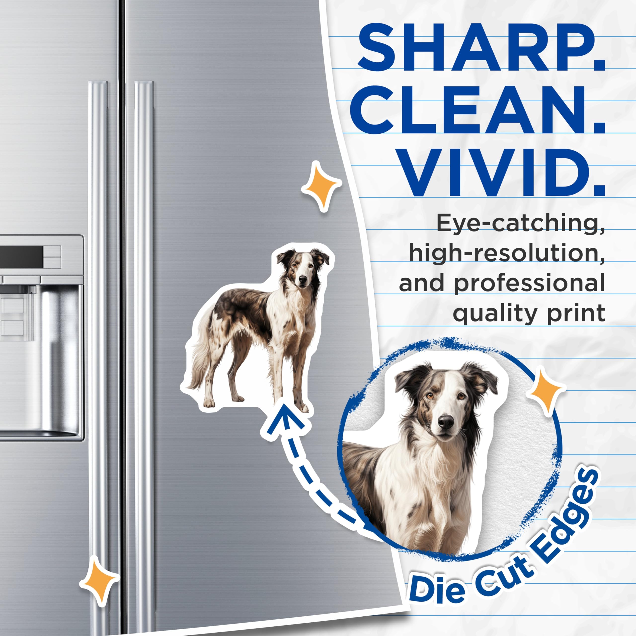 (2 Pack) Border Collie Dog Magnets - Merle Dog Portrait - Animal Lover Fridge Decor - Pet Owners Kitchen Magnets - 5 Inches On Longest Side - Thick Durable Magnet - Made in USA - MAG27858