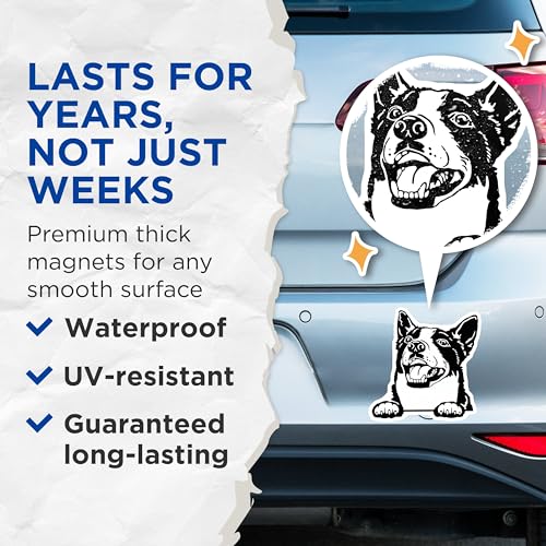 (2 Pack) Cute Dog Face Magnets - Funny Animal Magnet for Refrigerator - Black and White Dog Magnet - 5" On Longest Side - for Cars, Fridges, Toolboxes - Made in USA - MAG4040
