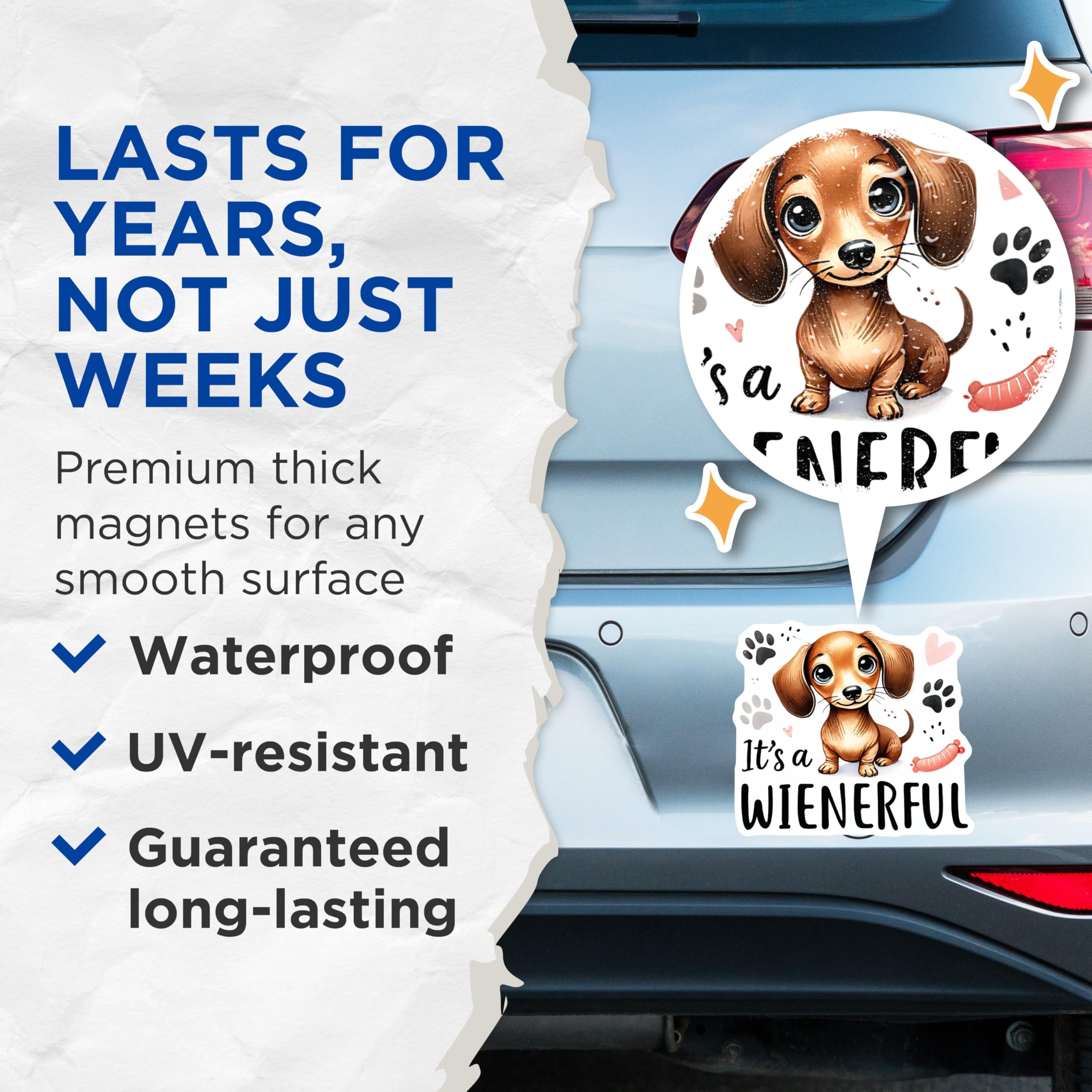 (2 Pack) Dachshund Magnets - Weinerful Dog Refrigerator Magnets - Cute Puppy Decor - 5" On Longest Side - Premium Magnet - for Cars, Refrigerators, Toolboxes, Lockers - Made in USA - MAG14887