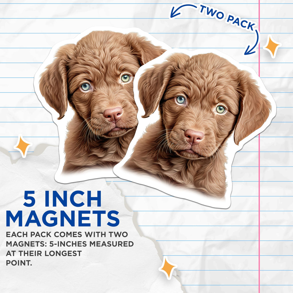 (2 Pack) Brown Puppy Magnets - Heterochromia Dog Decor - Cute Pet Animal Art - Heterochromatic Eyes Kitchen Locker Magnets - 5 Inches On Longest Side - Thick Durable Magnet - Made in USA - MAG23272