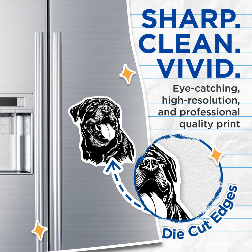 (2 Pack) Rottweiler Dog Magnets - Animal Lover Kitchen Decor - Pet Parent Refrigerator Art - Canine Breed Collectible - 5 Inches On Longest Side - Thick Durable Magnet - Made in USA - MAG38202