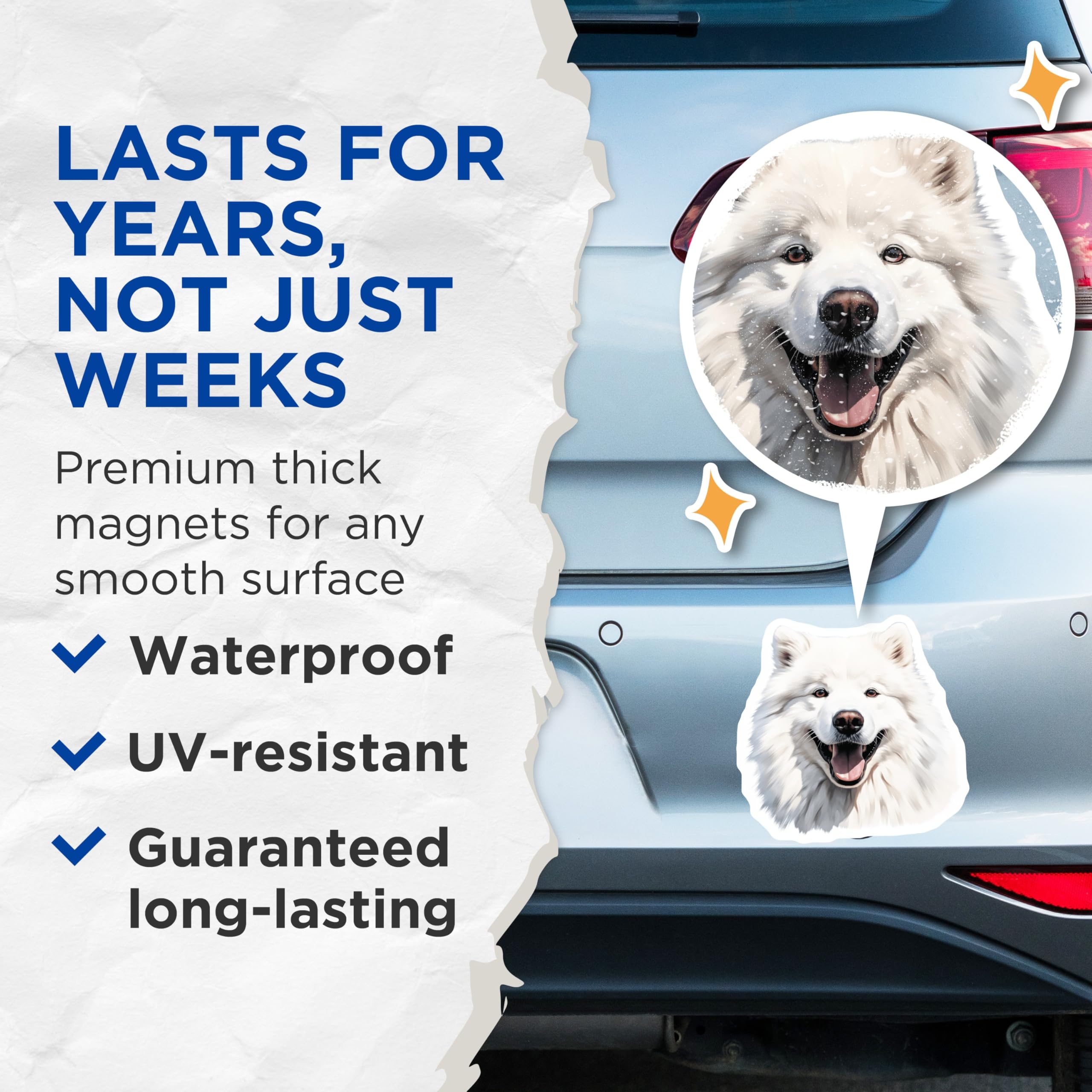 (2 Pack) Samoyed Dog Magnets - Happy Fluffy Canine - Pet Lover Decor - 5 Inches On Longest Side - Thick Durable Magnet - Made in USA - MAG29490