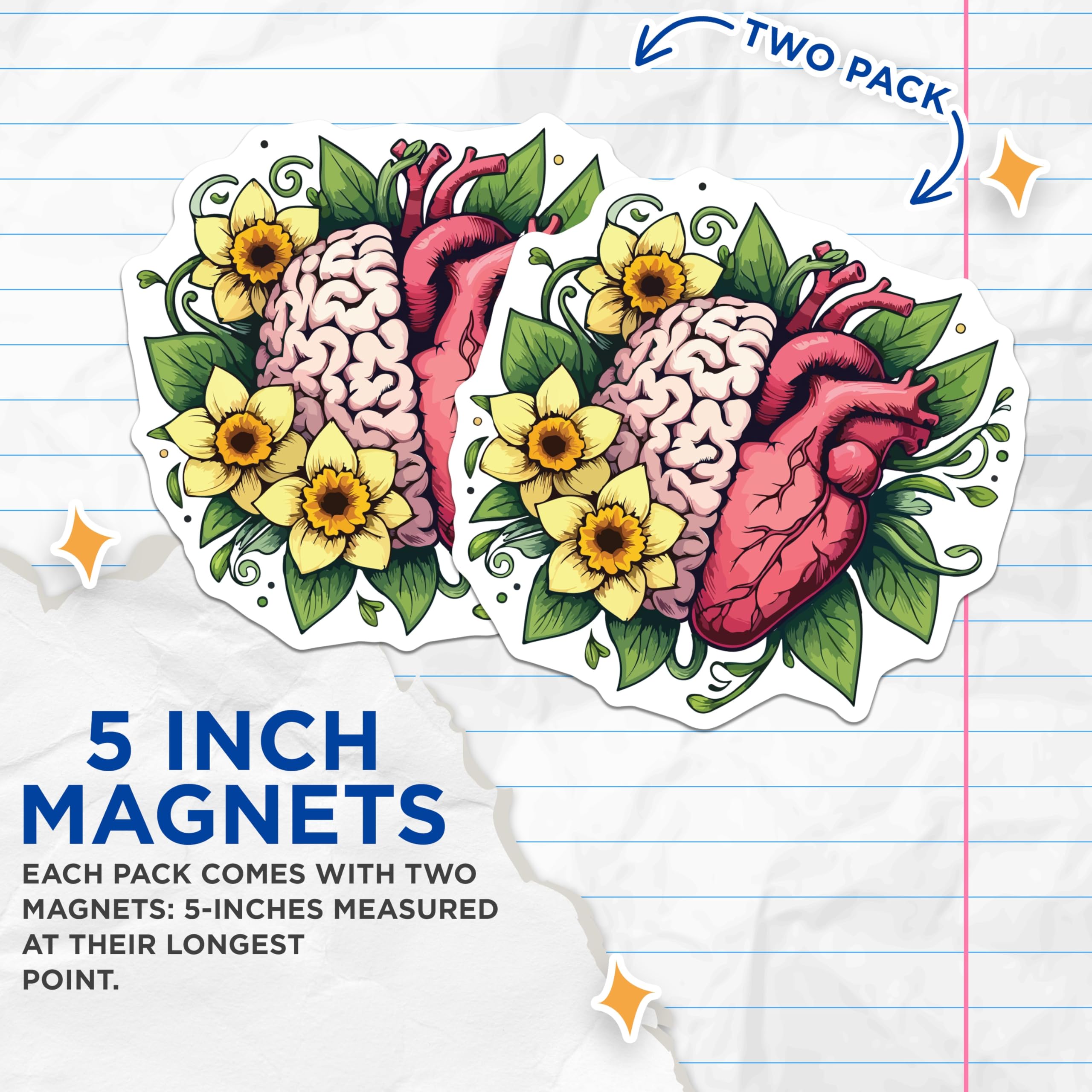 (2 Pack) Brain Heart Magnets - Daffodil Floral Anatomy - Mind Body Soul Decor - 5 Inches On Longest Side - Thick Durable Magnet - Made in USA - MAG19548