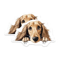 (2 Pack) Kitchen Decoration Magnet - Animal Lover Gift for Fridge - 5" On Longest Side - Sticks to Smooth Flat Surfaces - Made in USA - MAG10268