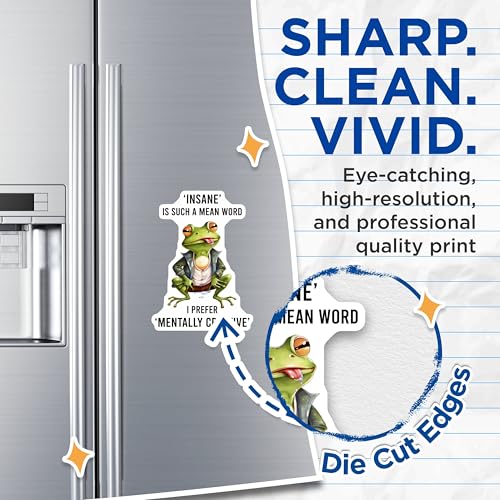 (2 Pack) Funny Frog Magnets - 5" On Longest Side - for Cars, Fridges, Toolboxes - Made in USA - MAG7734