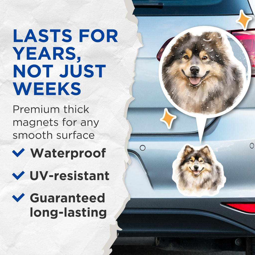 (2 Pack) Fluffy Finnish Lapphund Magnets - Watercolor Dog Art Pet Lover - Kitchen Refrigerator Accessory - 5 Inches On Longest Side - Thick Durable Magnet - Made in USA - MAG29321