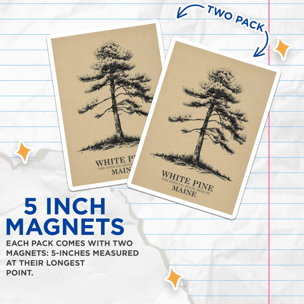 (2 Pack) White Pine Magnets - Maine State Tree - Botanical Decor - 5" On Longest Side - Premium Magnet - for Cars, Refrigerators, Toolboxes, Lockers - Made in USA - MAG18700