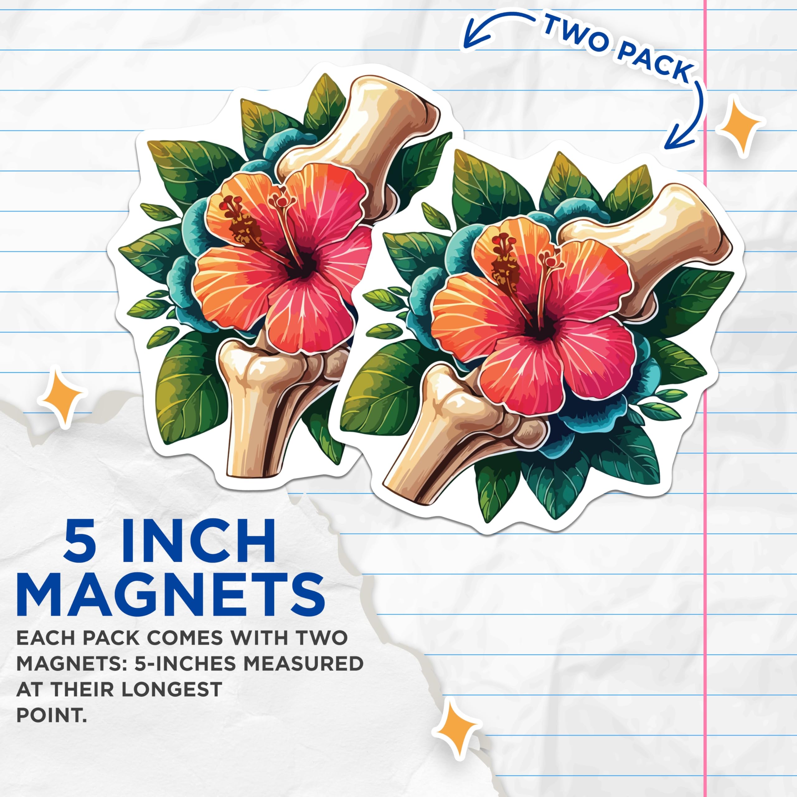 (2 Pack) Anatomical Hibiscus Magnets - Osteo Botanical Decor - Unique Science Art - 5 Inches On Longest Side - Thick Durable Magnet - Made in USA - MAG19679