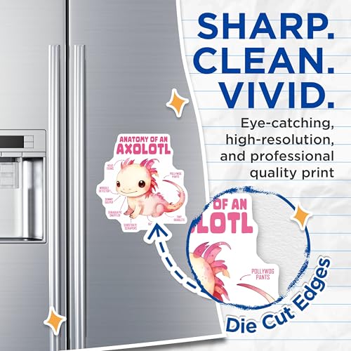 (2 Pack) Anatomy of an Axolotl Magnets - Cute Axolotl Decor - Axolotl Facts - 5" On Longest Side - for Cars, Fridges, Toolboxes - Made in USA - MAG7782