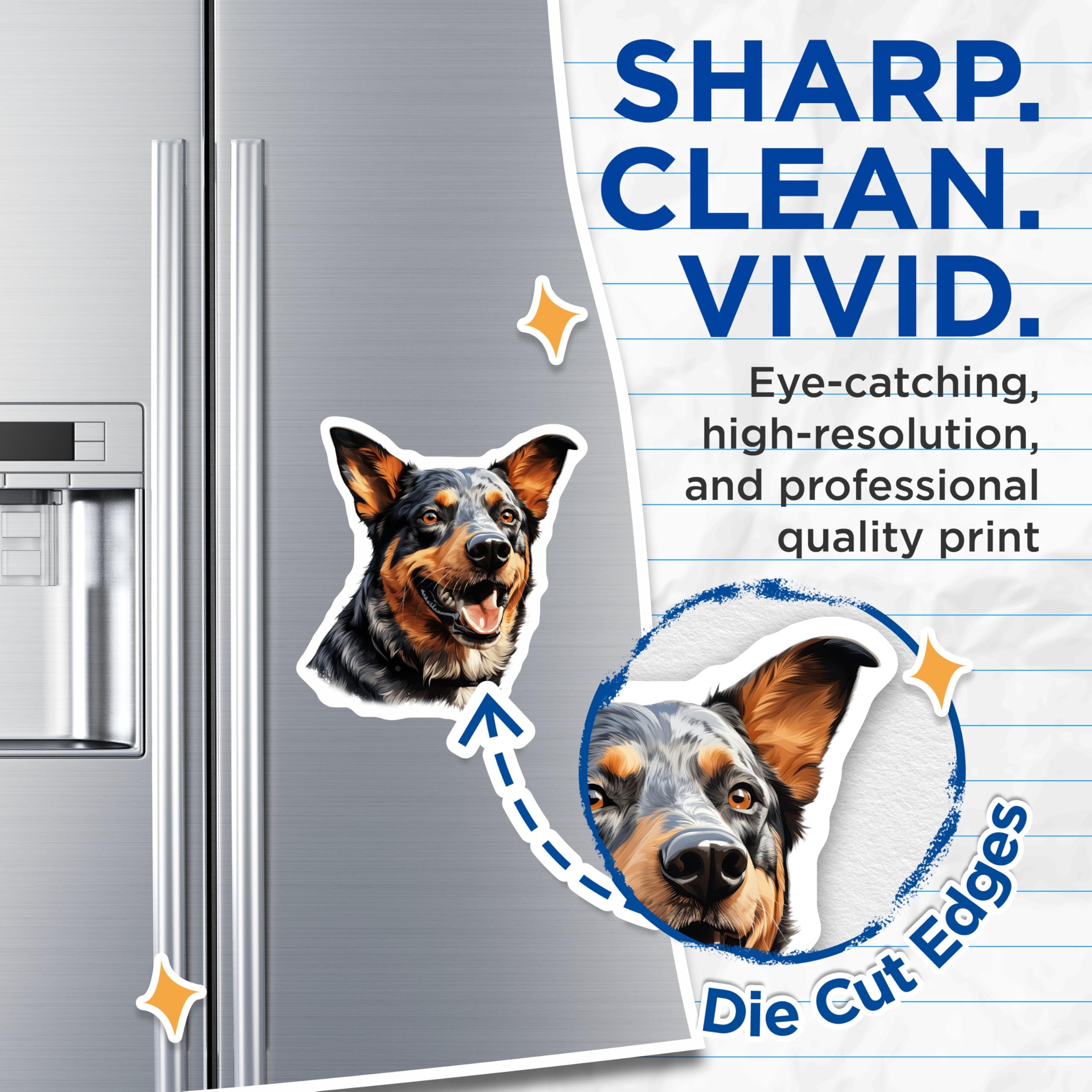 (2 Pack) Australian Cattle Dog Magnets - Blue Heeler Pet Art - Dog Breed Decor - Cute Canine Refrigerator Magnet - 5 Inches On Longest Side - Thick Durable Magnet - Made in USA - MAG23755