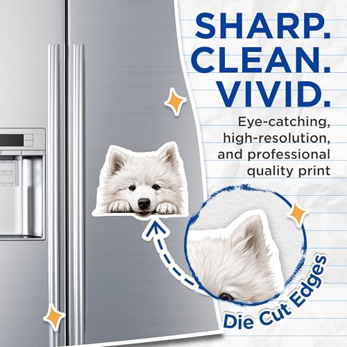 (2 Pack) Animal Fridge Decoration Magnet - 5" On Longest Side - Sticks to Smooth Flat Surfaces - Made in USA - MAG10269