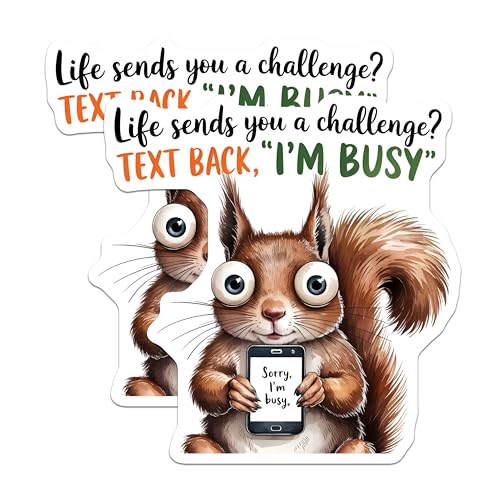 (2 Pack) Squirrel Meme Stickers - Funny Animal Stickers - Motivational Quote Stickers - 5" On Longest Side - Sticks to Smooth Flat Surfaces - Made in USA - BMCS6062