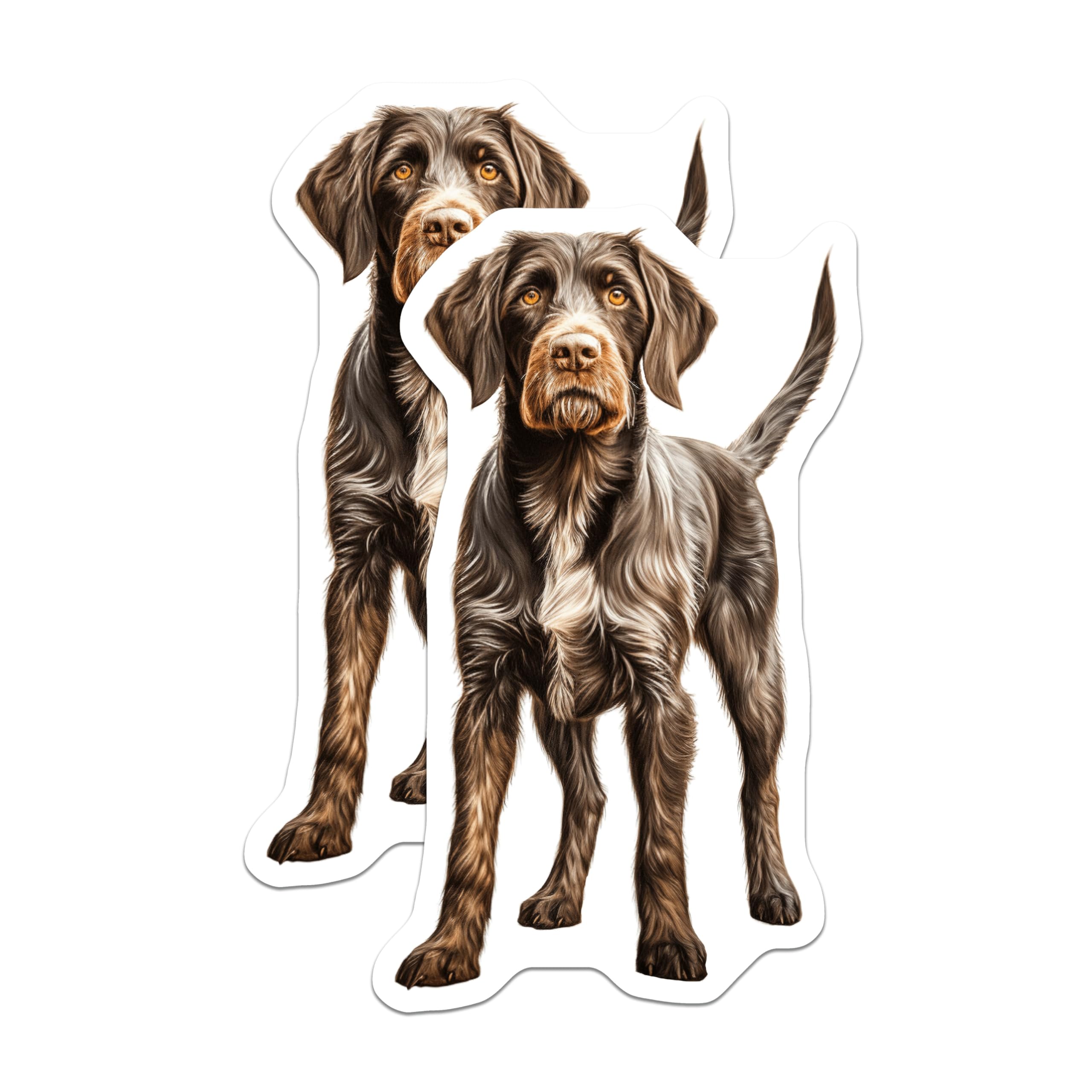 (2 Pack) German Wirehaired Pointer Magnets - GWP Dog Art - Hunting Dog Lover Pet Owner - 5 Inches On Longest Side - Thick Durable Magnet - Made in USA - MAG27426