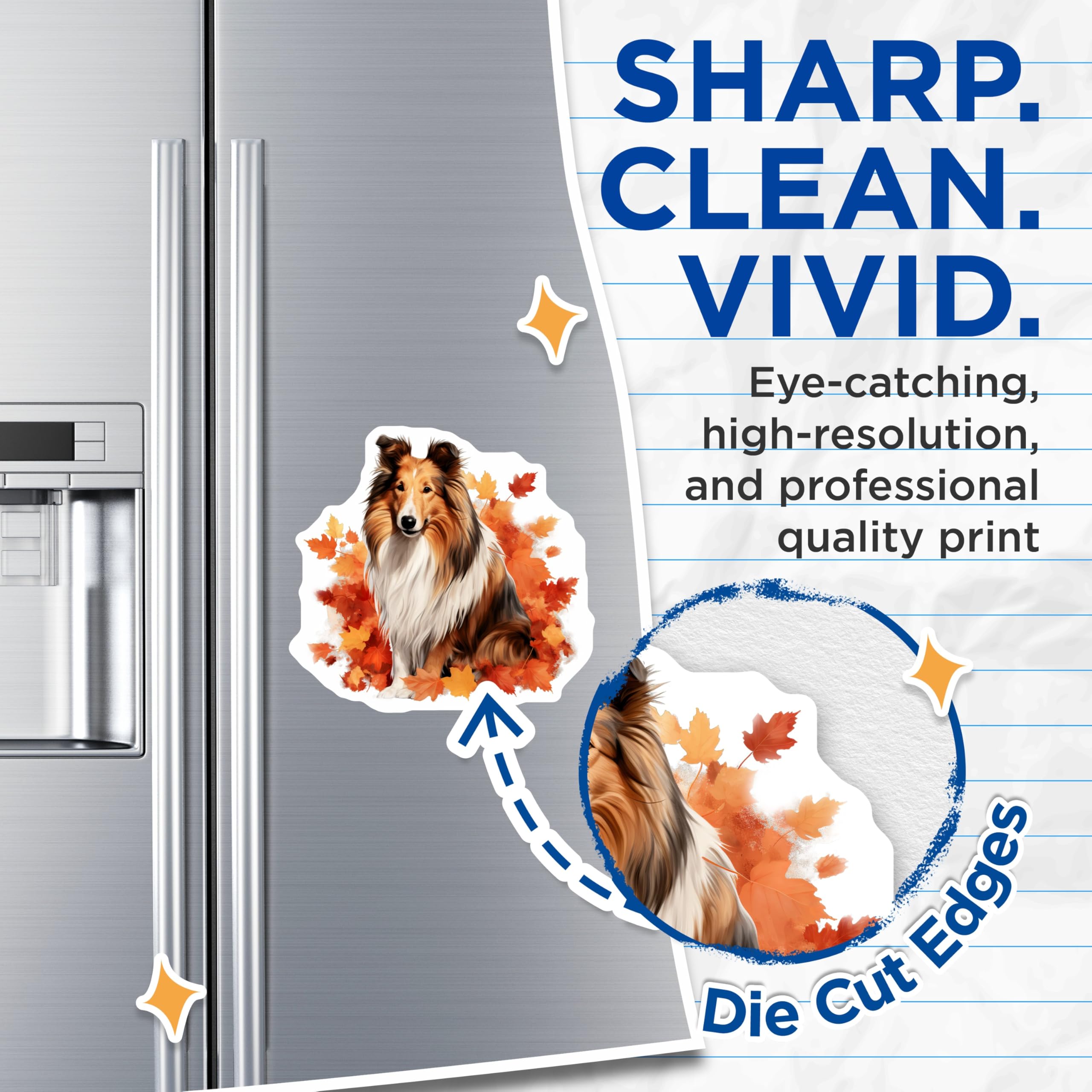 (2 Pack) Sheltie Magnets - Autumn Dog Decor - Shetland Sheepdog Owner Refrigerator Magnets - 5 Inches On Longest Side - Thick Durable Magnet - Made in USA - MAG26831