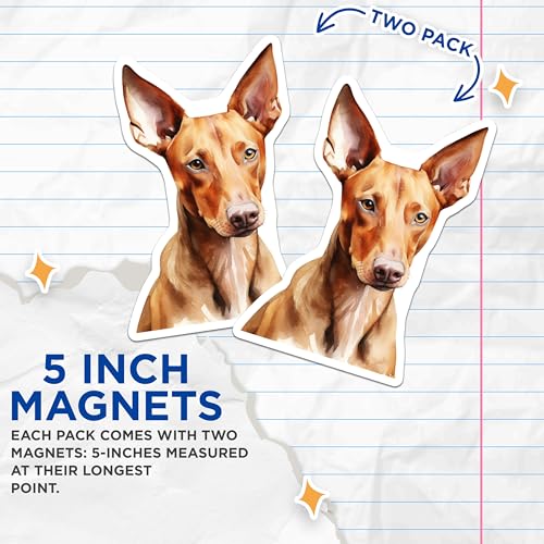 (2 Pack) Ibizan Hound Magnets - Watercolor Dog Lover Decor - Sighthound Kitchen Accent - 5 Inches On Longest Side - Thick Durable Magnet - Made in USA - MAG29772