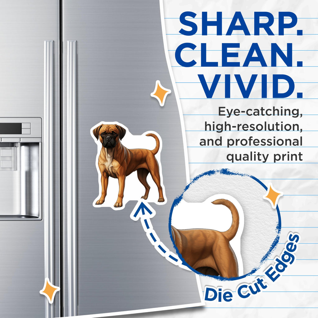 (2 Pack) Boxer Dog Magnets - Pet Owner Refrigerator Decor - Canine Animal Lover Accessory - 5 Inches On Longest Side - Thick Durable Magnet - Made in USA - MAG30660