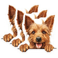 (3 Pack) Yorkshire Terrier Decals - Cute Dog Breed Sticker - Laptop Decal Set - 3 Inches On Longest Side - Easy Peel & Apply - Made in USA - 3MCS8603