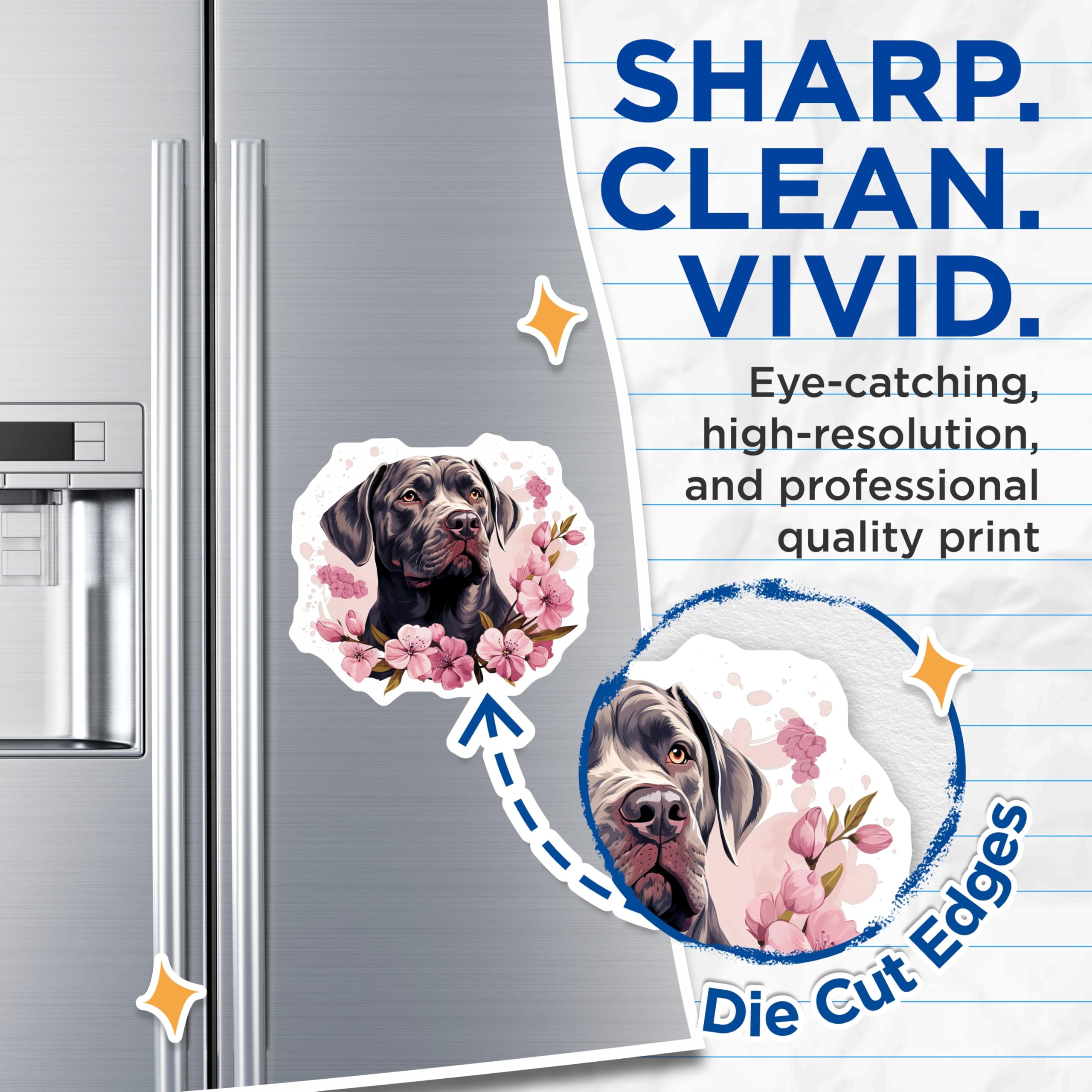 (2 Pack) Cane Corso Magnets - Majestic Dog Art - Pink Cherry Blossom Decor - Large Breed Canine Lover Fridge Accessories - 5 Inches On Longest Side - Thick Durable Magnet - Made in USA - MAG23887