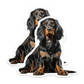 (2 Pack) Gordon Setter Magnets - Black Tan Dog Art - Pet Lover Refrigerator Decor - Dog Mom Dad Present - 5 Inches On Longest Side - Thick Durable Magnet - Made in USA - MAG28355