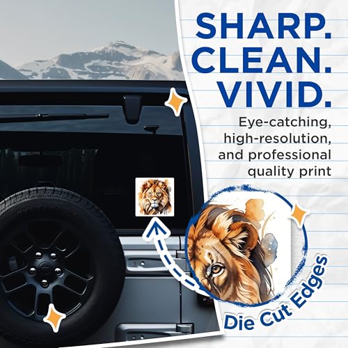 (2 Pack) Lion Art Stickers - Animal Illustration - Wildlife Design - 5" On Longest Side - Sticks to Smooth Flat Surfaces - Made in USA - BMCS8692 - Nature Lover