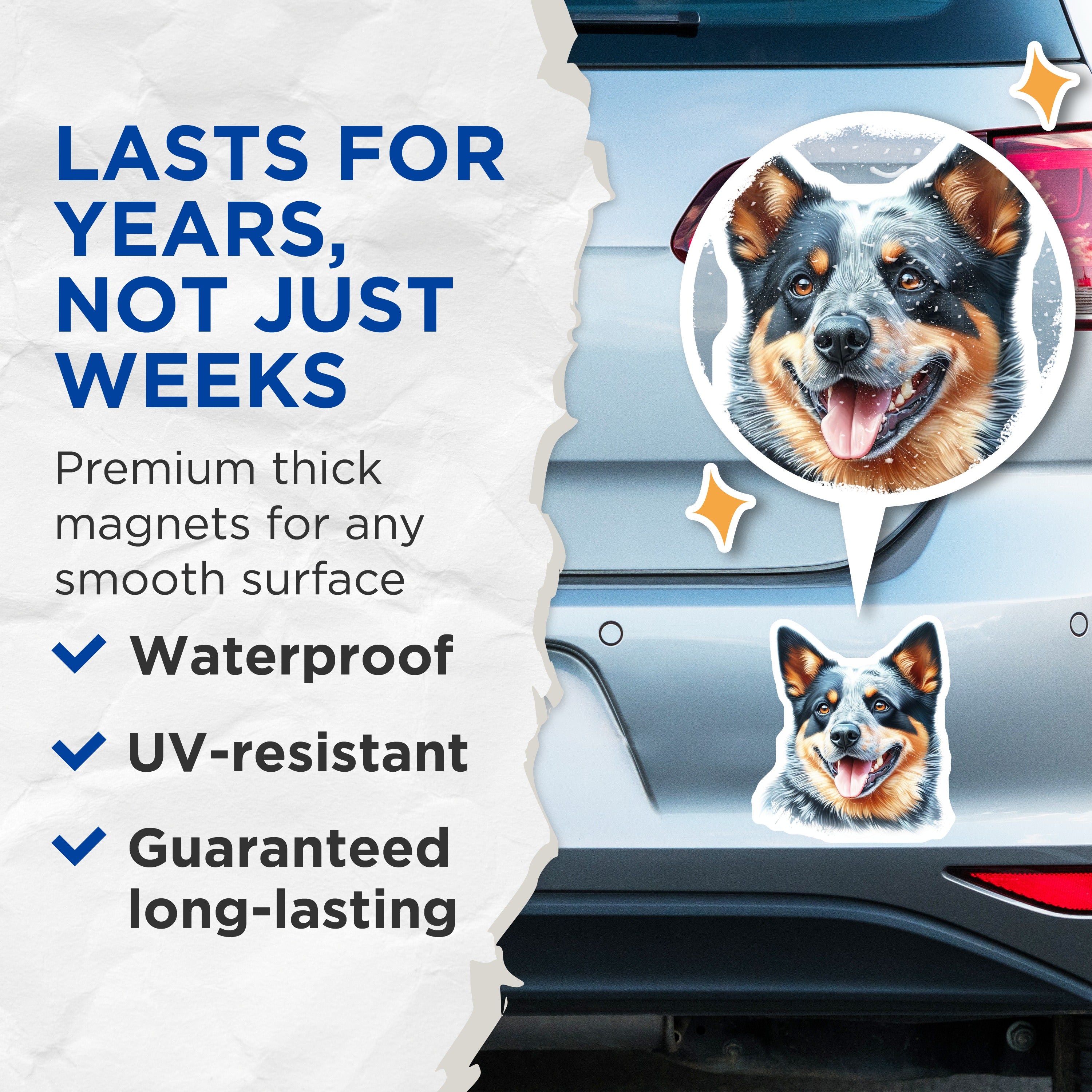(2 Pack) Australian Cattle Dog Magnets - Blue Heeler Dog Lover - Pet Owner Refrigerator Decor - 5 Inches On Longest Side - Thick Durable Magnet - Made in USA - MAG38354