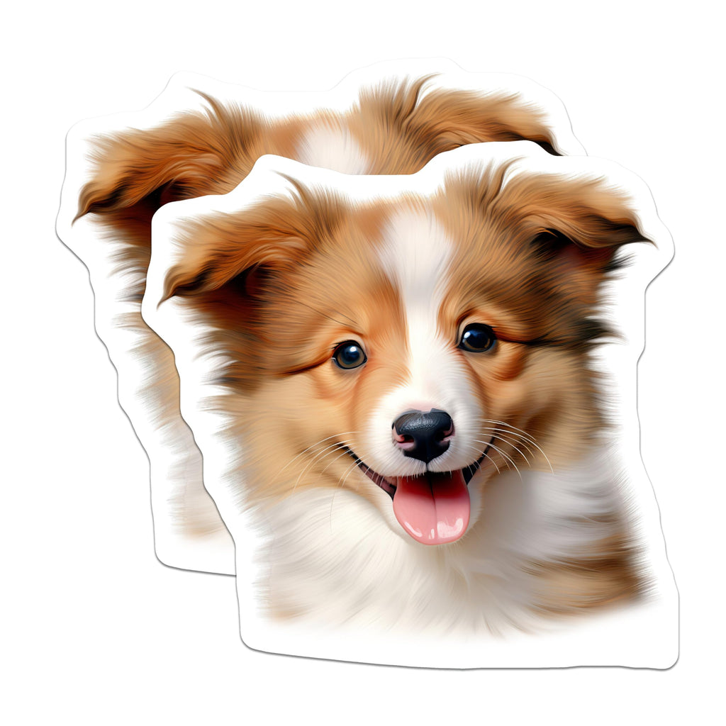 (2 Pack) Cute Puppy Magnets - Border Collie Sheltie - Dog Lover Accessory - 5 Inches On Longest Side - Thick Durable Magnet - Made in USA - MAG29837