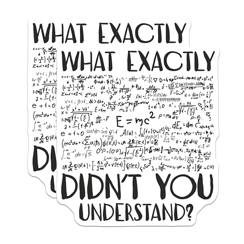(2 Pack) What Exactly Didnt You Understand Magnets Magnets - 5" On Longest Side - Made in USA - Sticks to Refrigerators & Metal Surfaces - MAG9051