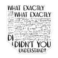 (2 Pack) What Exactly Didnt You Understand Magnets Magnets - 5" On Longest Side - Made in USA - Sticks to Refrigerators & Metal Surfaces - MAG9051