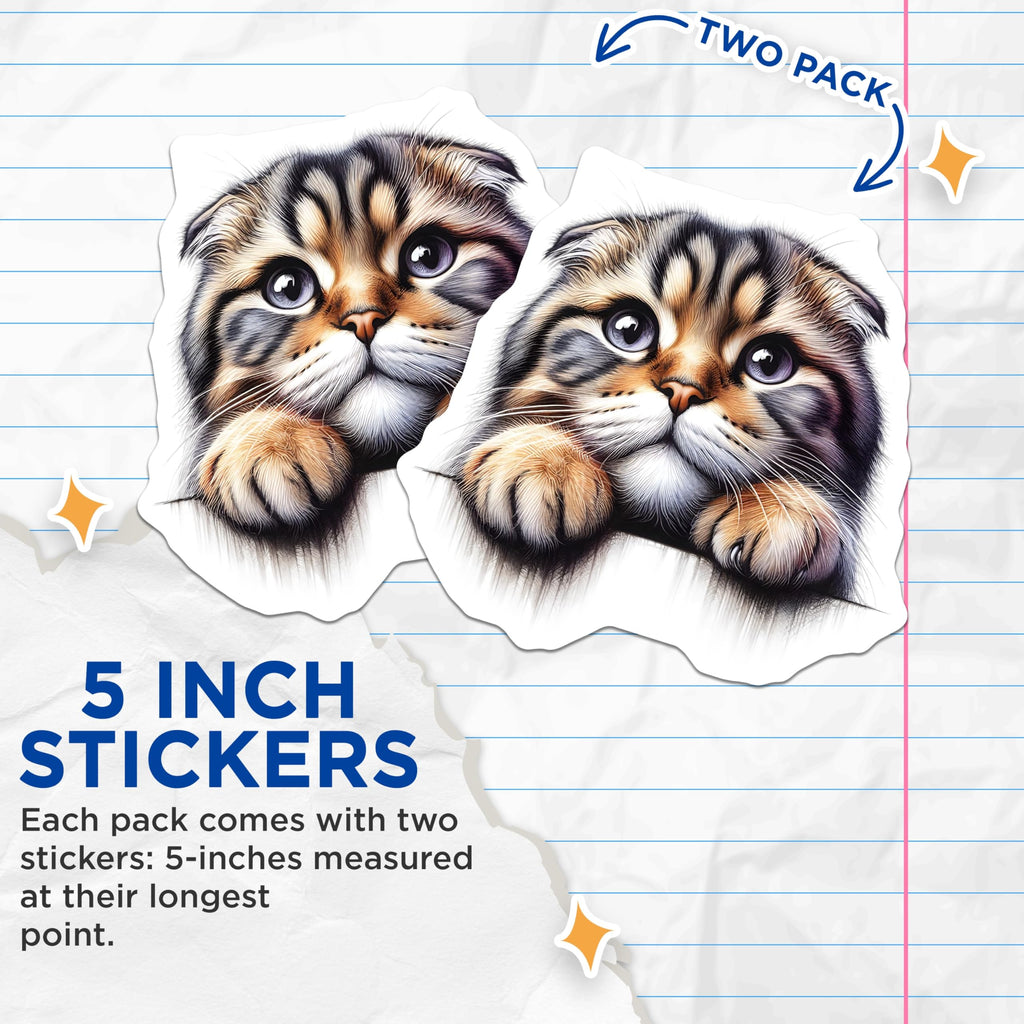 (2 Pack) Scottish Fold Cat Stickers - Cute Kitten Decals - Whimsical Feline Art - 5" On Longest Side - Sticks to Smooth Flat Surfaces - Made in USA - BMCS15088