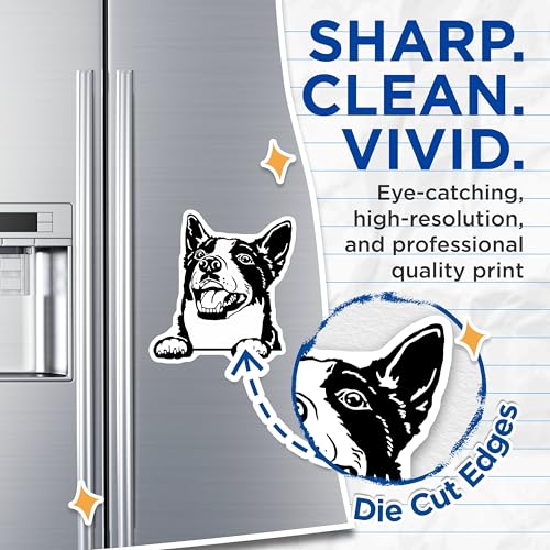 (2 Pack) Cute Dog Face Magnets - Funny Animal Magnet for Refrigerator - Black and White Dog Magnet - 5" On Longest Side - for Cars, Fridges, Toolboxes - Made in USA - MAG4040