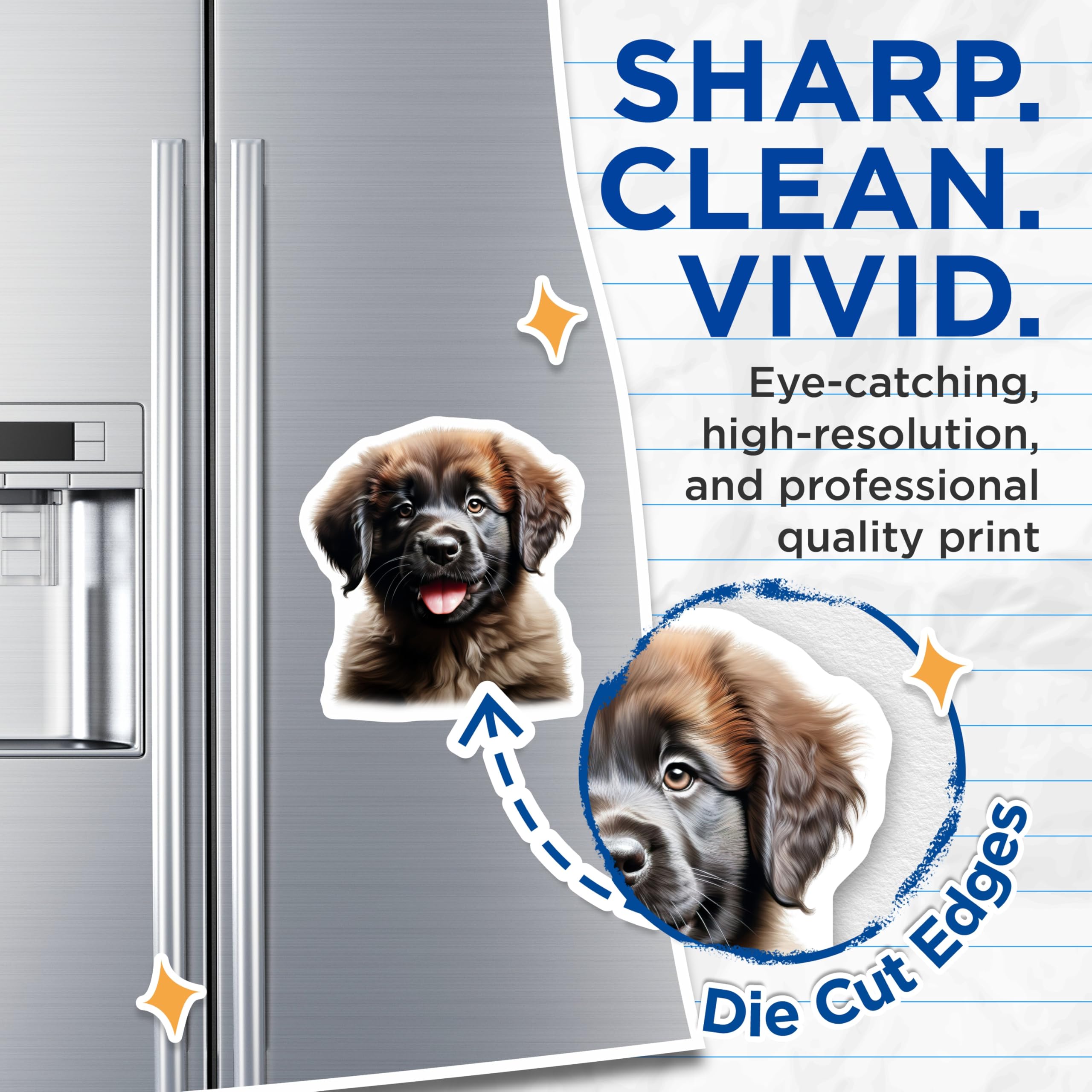 (2 Pack) Adorable Puppy Magnets - Fluffy Dog Decor - Pet Lover Accessories - 5 Inches On Longest Side - Thick Durable Magnet - Made in USA - MAG28494