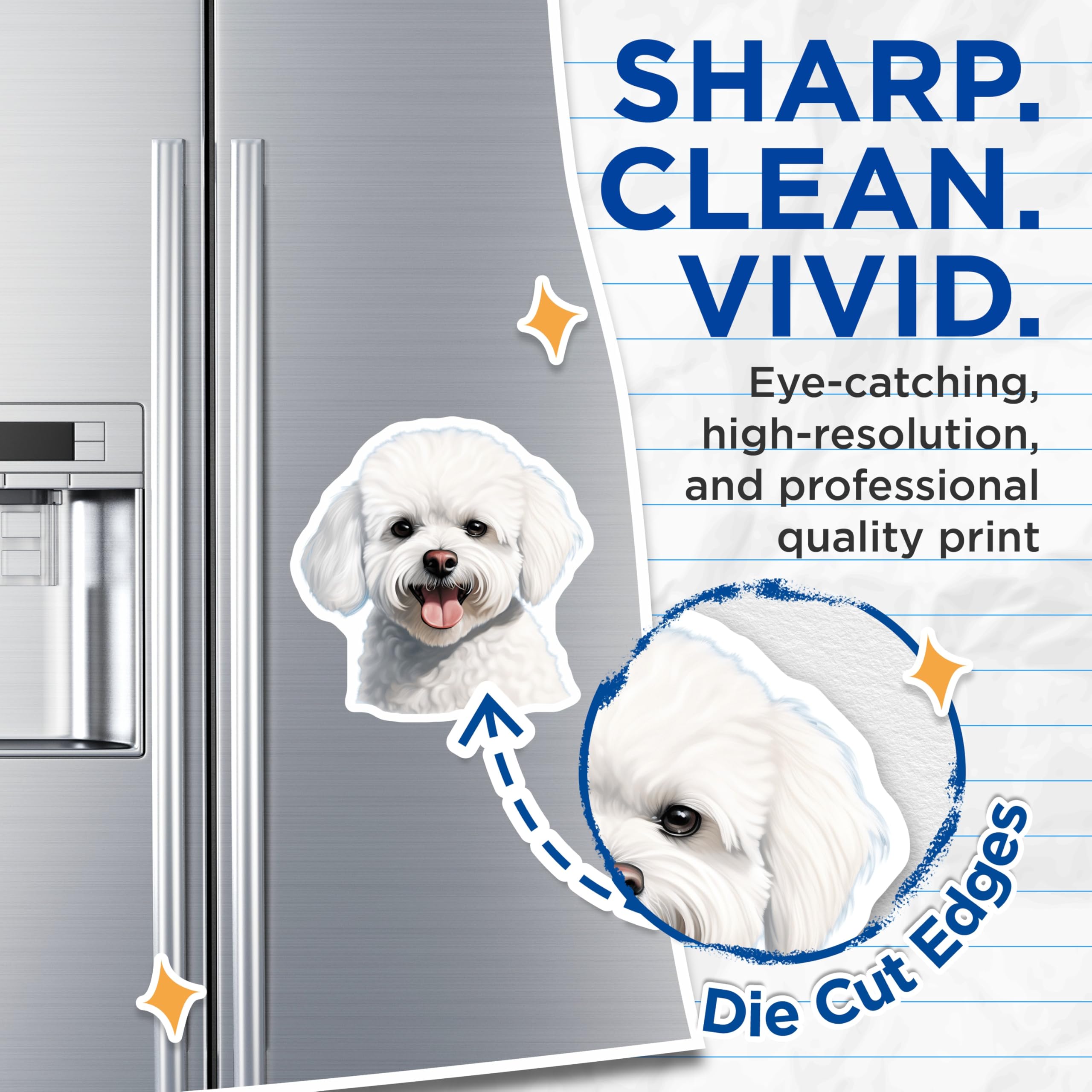 (2 Pack) Bichon Frise Magnets - Maltese Dog Puppy Decor - Cute Animal Fridge Accessories for Dog Lovers - 5 Inches On Longest Side - Thick Durable Magnet - Made in USA - MAG25716