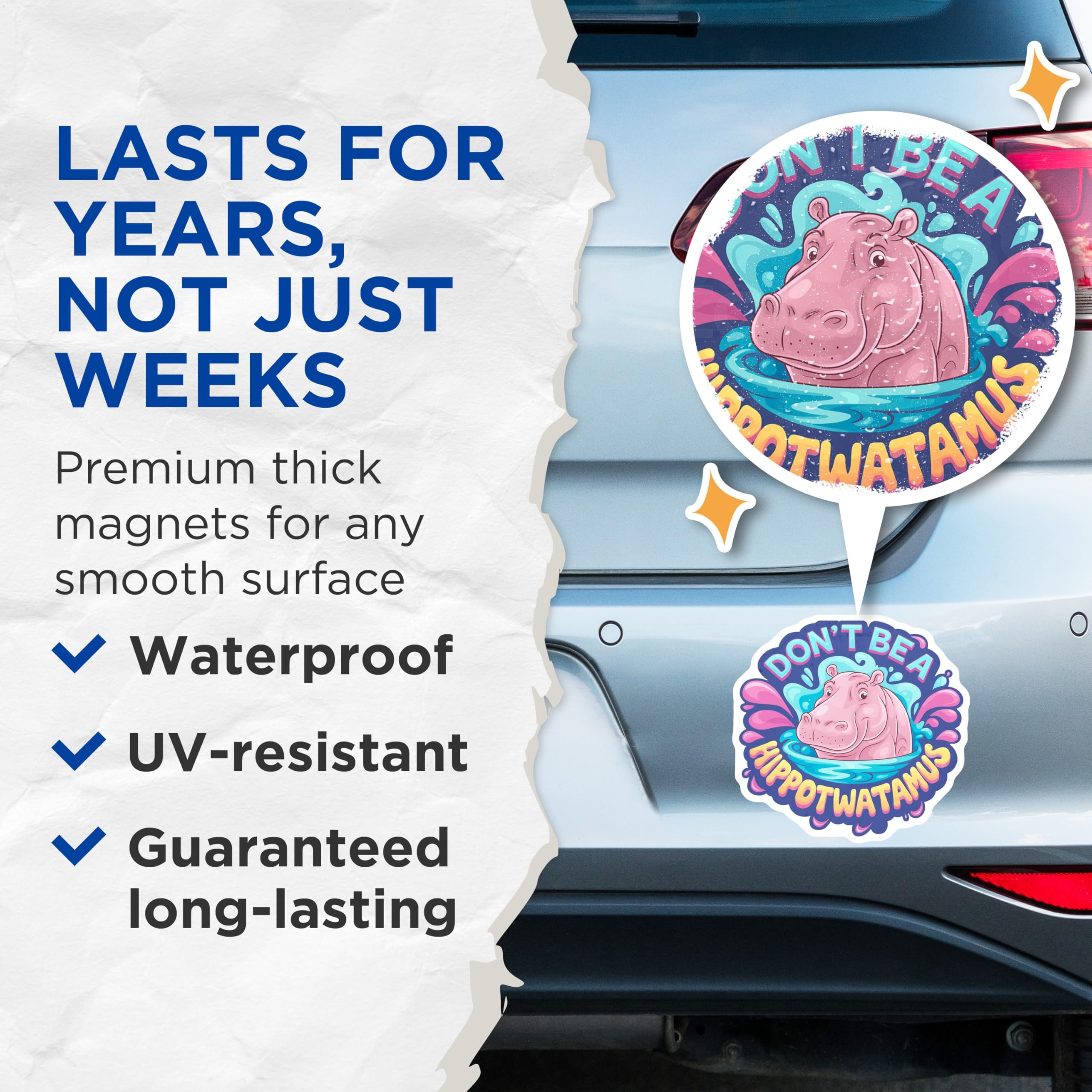 (2 Pack) Funny Hippo Magnets - Don't Be a Hippotwatamus Quote - Refrigerator Locker Decor - 5 Inches On Longest Side - Thick Durable Magnet - Made in USA - MAG22713