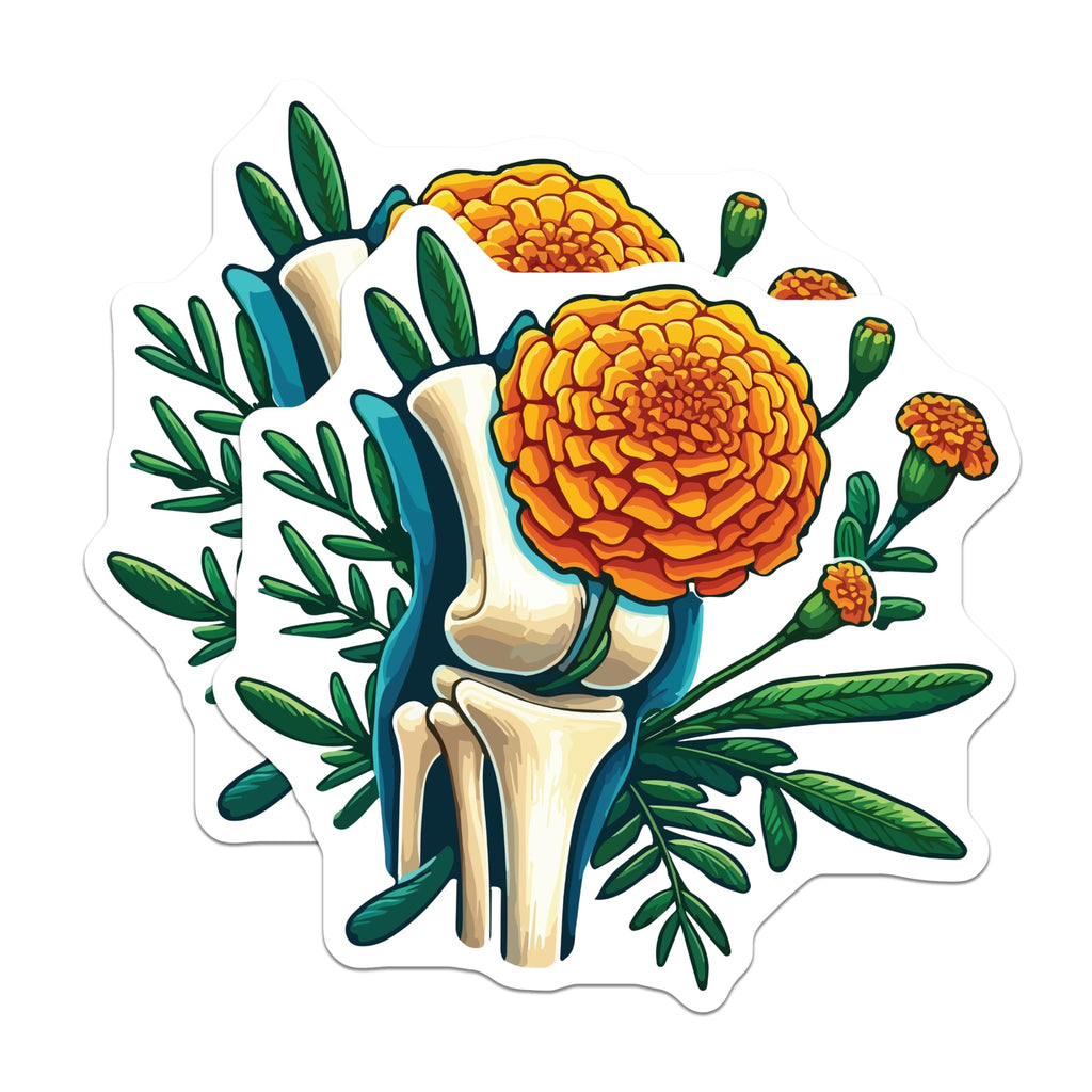 (2 Pack) Knee Bone Marigold Magnets - Human Anatomy Art - Floral Skeletal Decor - 5 Inches On Longest Side - Thick Durable Magnet - Made in USA - MAG19946