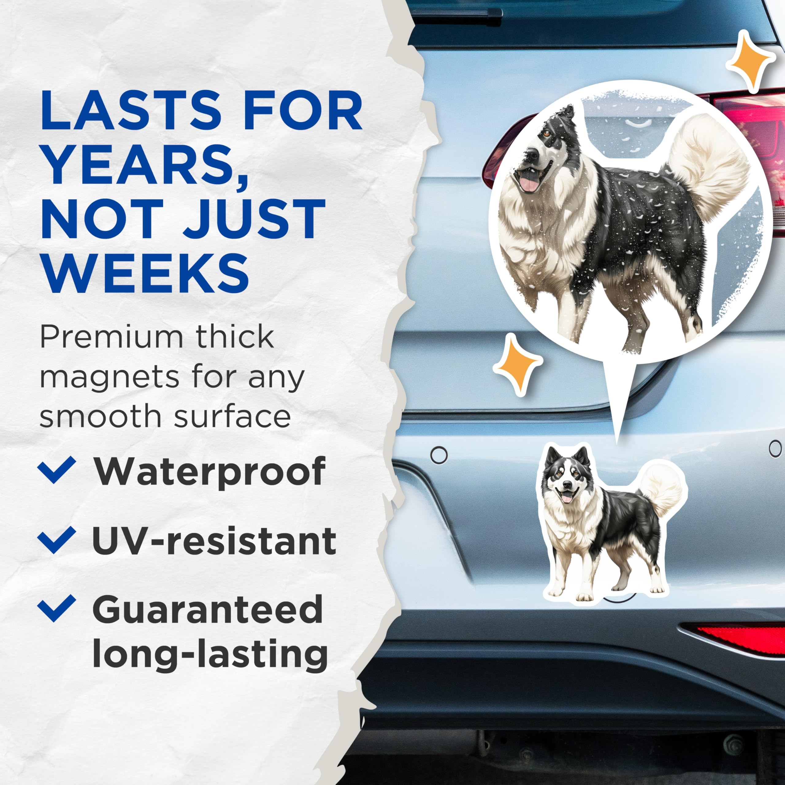 (2 Pack) Husky Magnets - Black White Dog Lover Decor - Pet Owner Kitchen Accessories - 5 Inches On Longest Side - Thick Durable Magnet - Made in USA - MAG28924