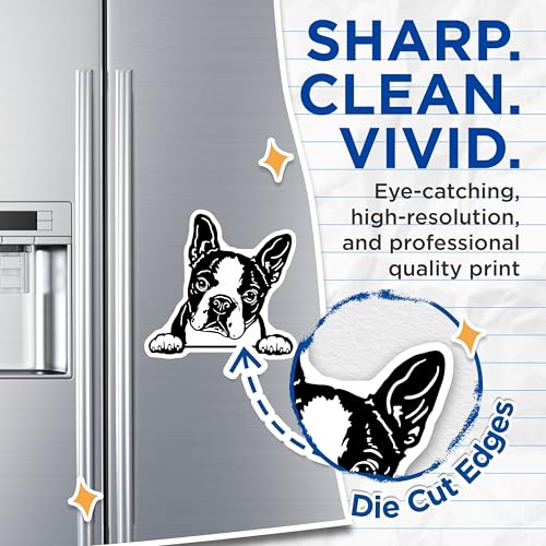 (2 Pack) Boston Terrier Magnets - Dog Lover Gifts - Cute Pet for Fridge or Office - Puppy Car Accessories - Animal Magnet - 5" On Longest Side - for Cars, Fridges, Toolboxes - Made in USA - MAG4039
