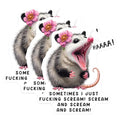 (3 Pack) Screaming Opossum Decals - Funny Animal - Laptop Decal - 3 Inches On Longest Side - Easy Peel & Apply - Made in USA - 3MCS4647