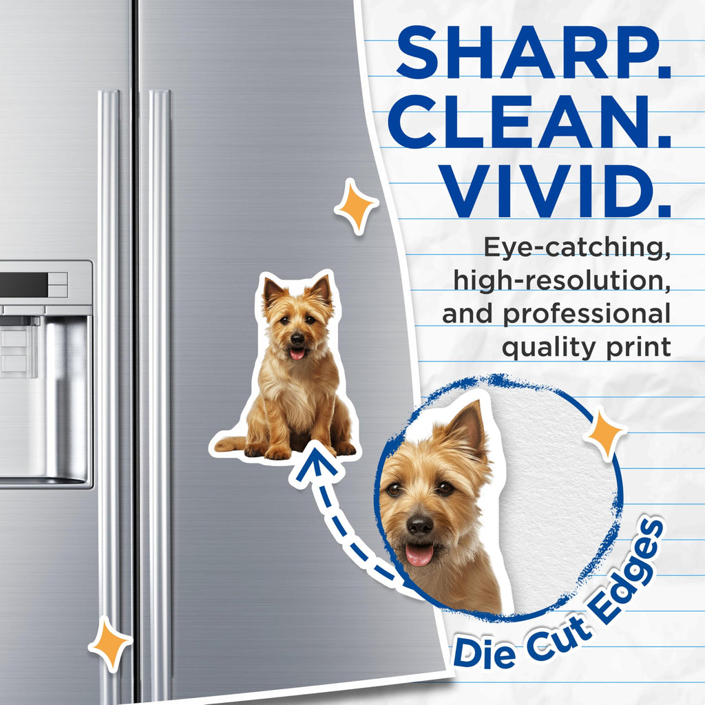 (2 Pack) Adorable Terrier Magnets - Dog Lover Decor - Happy Pet Refrigerator Art - 5 Inches On Longest Side - Thick Durable Magnet - Made in USA - MAG30205