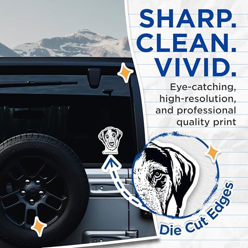 (2 Pack) Coonhound Stickers - Dog Lover Stickers - Pet Owner Stickers - 5" On Longest Side - Sticks to Smooth Flat Surfaces - Made in USA - BMCS4017