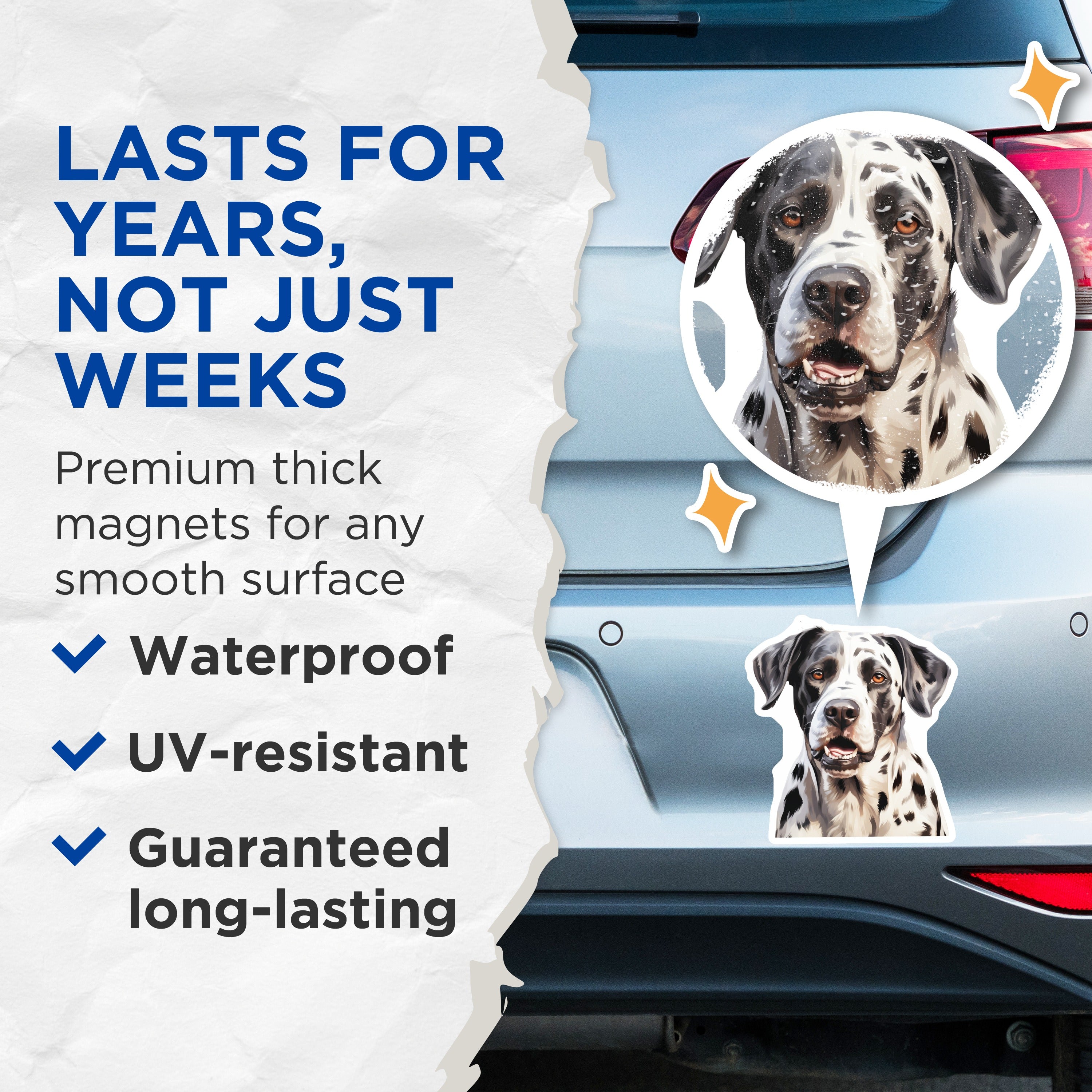 (2 Pack) Spotted Dog Portrait Magnets - Pet Lover Gift Idea - Refrigerator Decor - Cute Animal Fridge Magnet - 5 Inches On Longest Side - Thick Durable Magnet - Made in USA - MAG39119