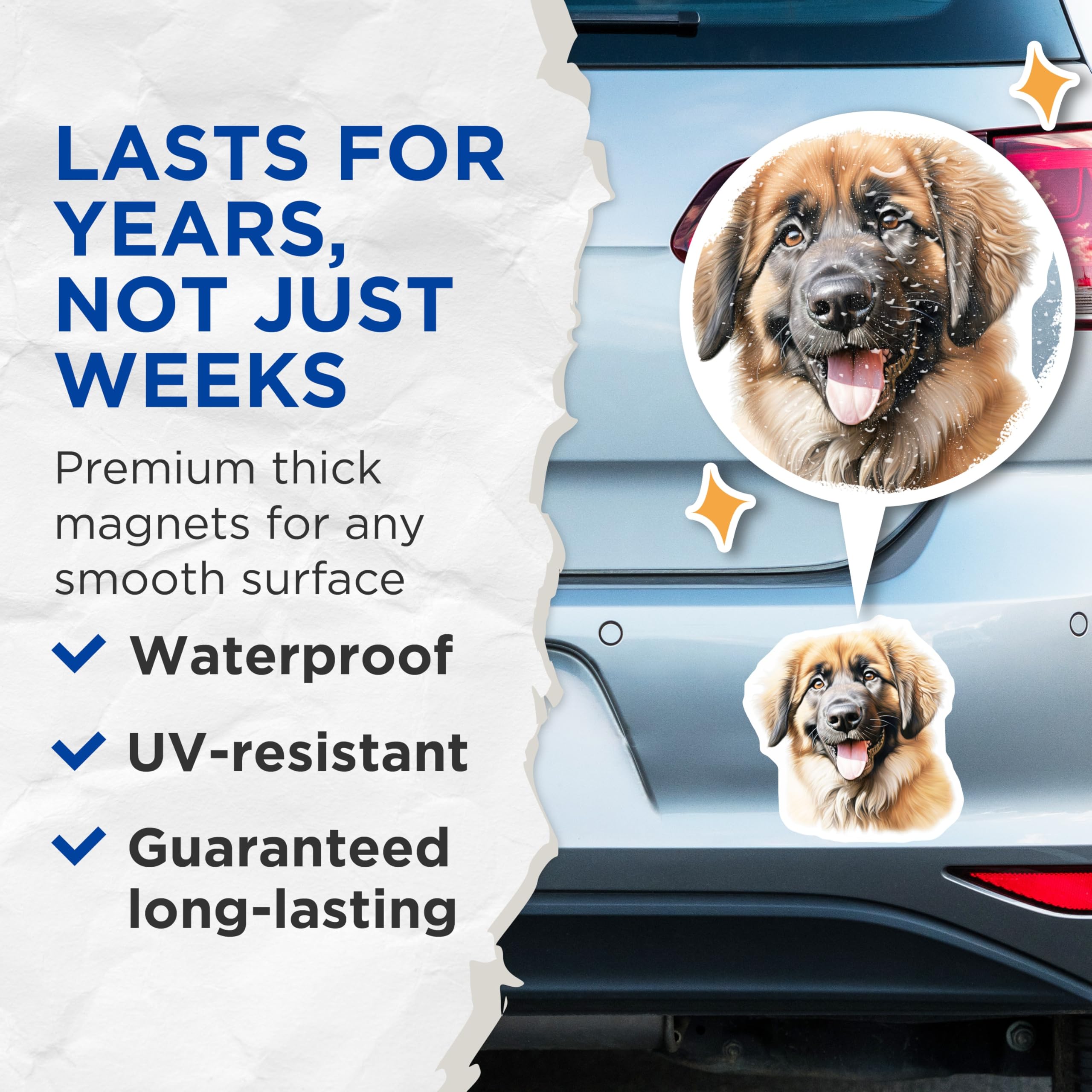 (2 Pack) Leonberger Puppy Magnets - Cute Fluffy Dog Breed Art - Animal Lover Refrigerator Decor - Pet Owner Home Accessory - 5 Inches On Longest Side - Thick Durable Magnet - Made in USA - MAG23987