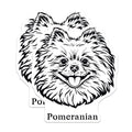 (2 Pack) Pomeranian Dog Stickers - Cute Dog Face Stickers - Adorable Pomeranian Puppy Stickers - 5" On Longest Side - Sticks to Smooth Flat Surfaces - Made in USA - BMCS4027