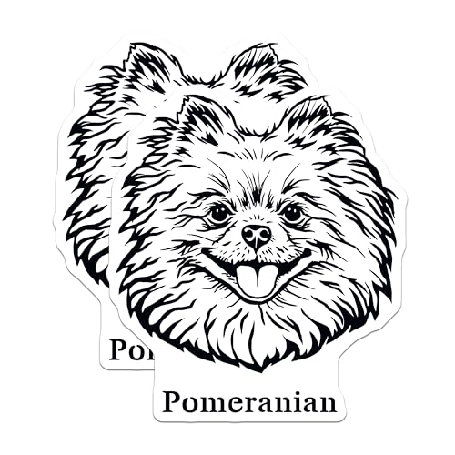 (2 Pack) Pomeranian Dog Stickers - Cute Dog Face Stickers - Adorable Pomeranian Puppy Stickers - 5" On Longest Side - Sticks to Smooth Flat Surfaces - Made in USA - BMCS4027