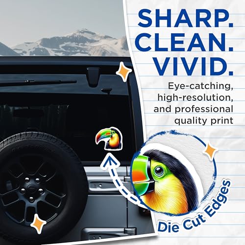 (2 Pack) Colorful Toucan Stickers - Bird Art Stickers - Tropical Wildlife Stickers - 5" On Longest Side - Sticks to Smooth Flat Surfaces - Made in USA - BMCS4519