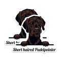 (2 Pack) Short Haired Pudelpointer Stickers - Cute Dog Decal - Animal Lover Stickers - 5" On Longest Side - Sticks to Smooth Flat Surfaces - Made in USA - BMCS4228
